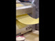 ROGA SF 220 - Pasta Dough Sheeter