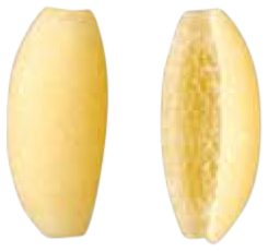 Gnocchetti 19mm, die 561